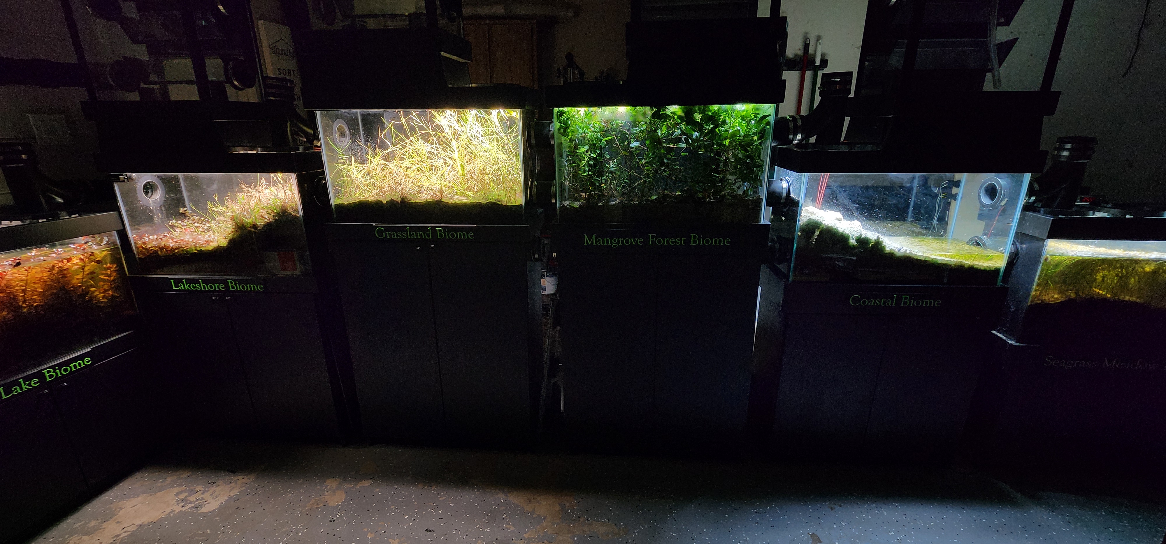 Photo of the complete miniBIOTA closed ecosystem with six interconnected biomes