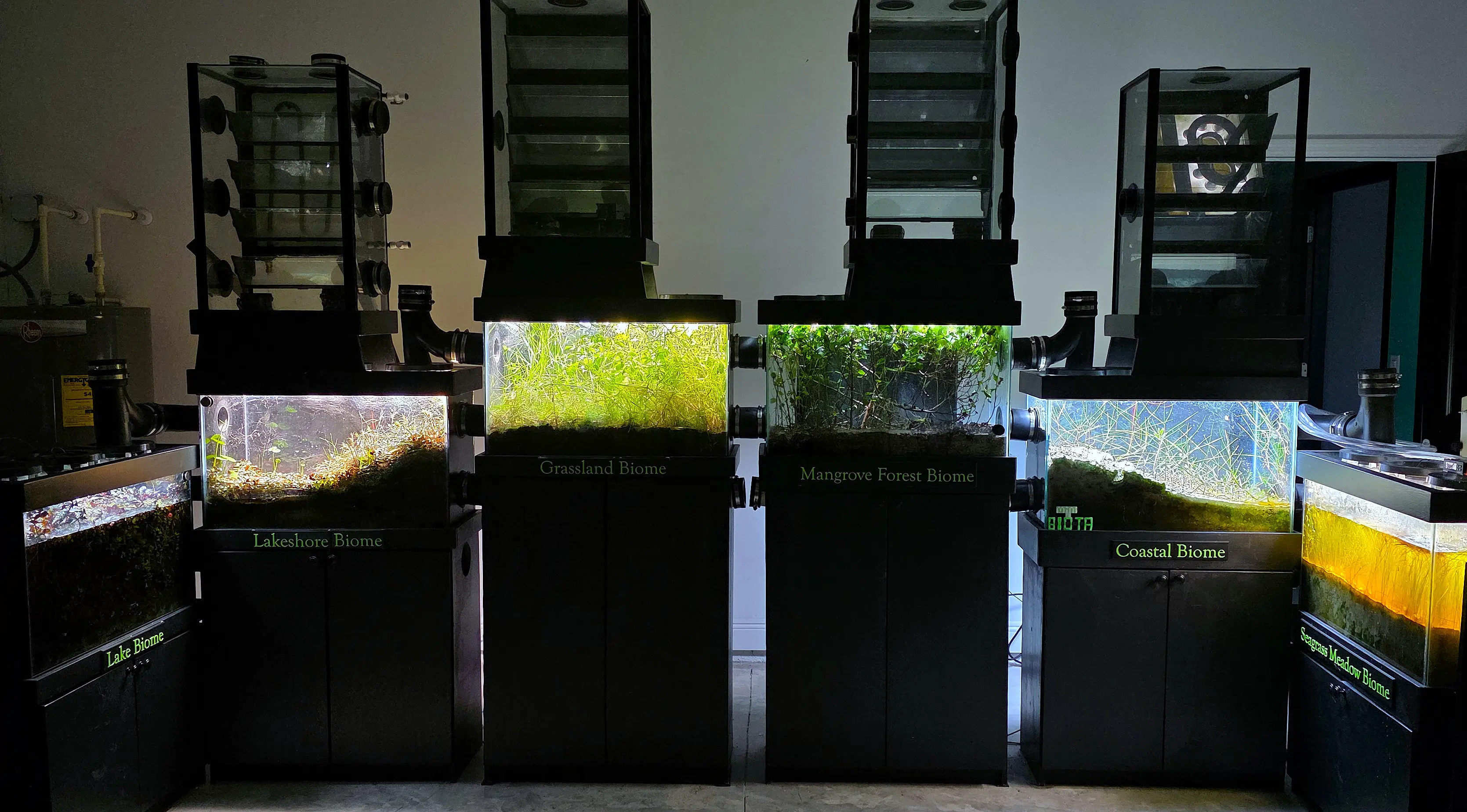 miniBIOTA Interconnected Biomes - Lake, Lakeshore, Grassland, Mangrove Forest, Coastal, and Seagrass Meadow