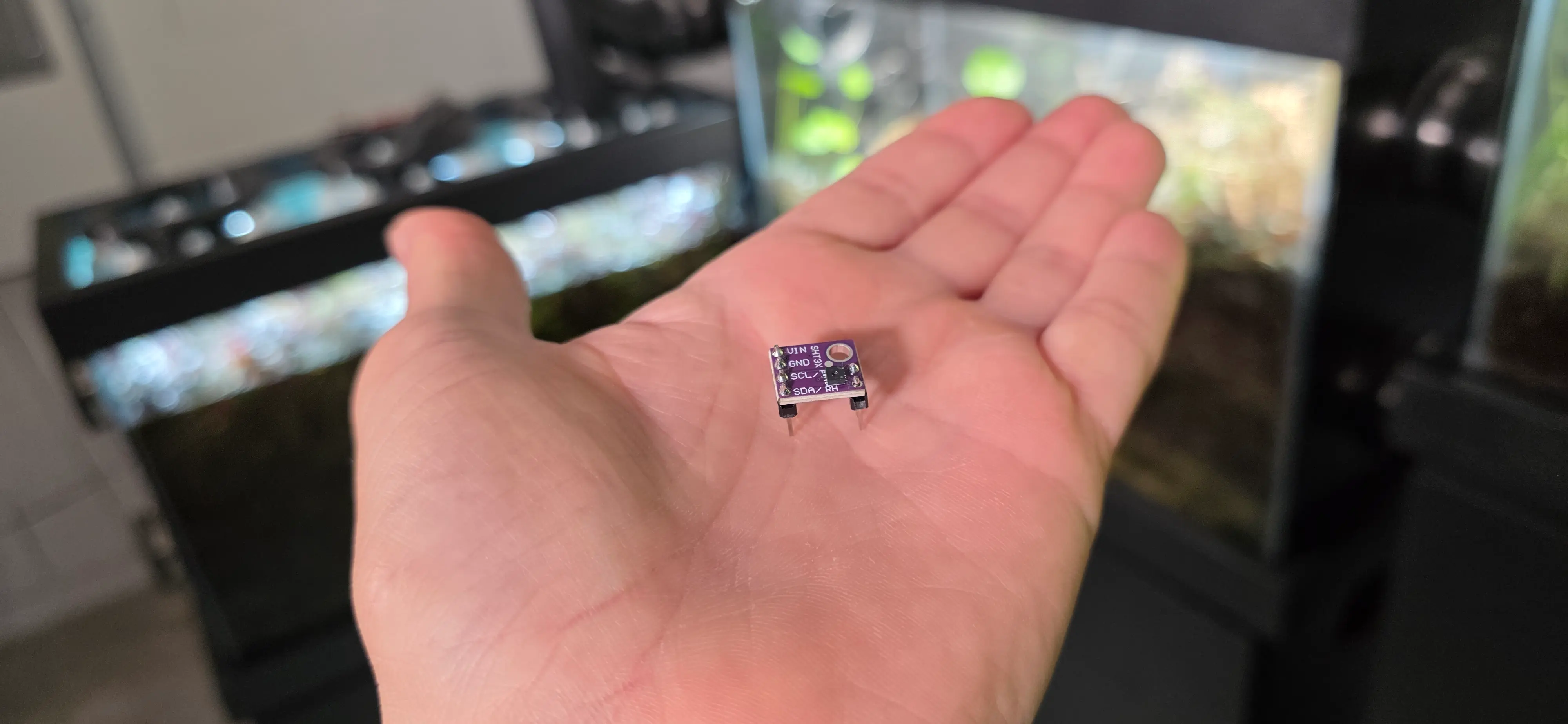 Small environmental sensor held in a hand with biomes visible in the background